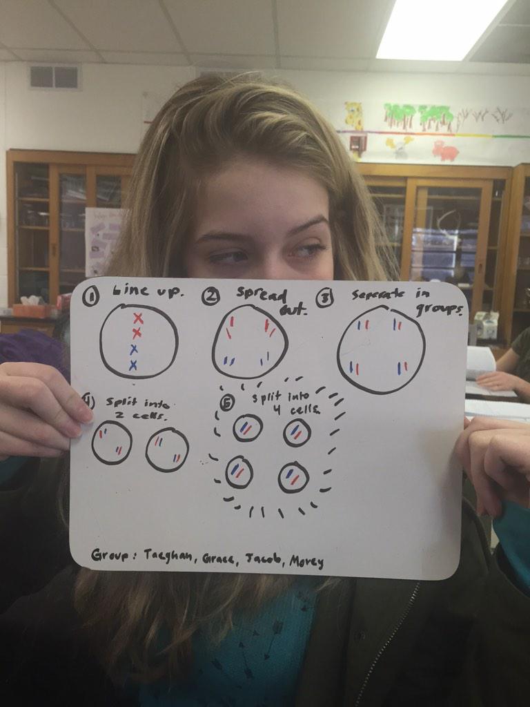 taeghans_lhs's tweet photo. @GraceL_lhs @moreyd_lhs @Jacobl_lhs @taeghans_lhs #chromosomechallenge #ballhr1 http://t.co/EytTqrjHTW