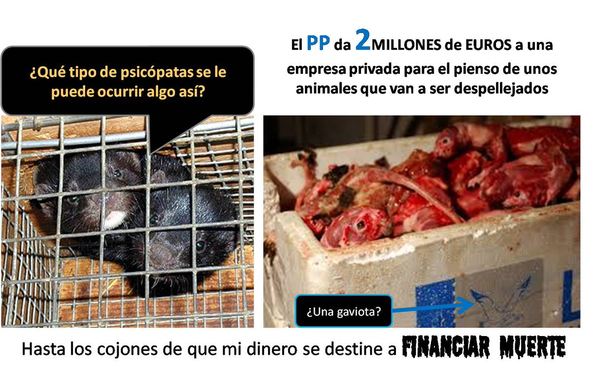 JusticiaPAT's tweet photo. El PP da 2 Millones€ a una empresa para alimentar visones que serán DESPELLEJADOS http://t.co/wm7lIOpCGs http://t.co/i7xJXlizmb