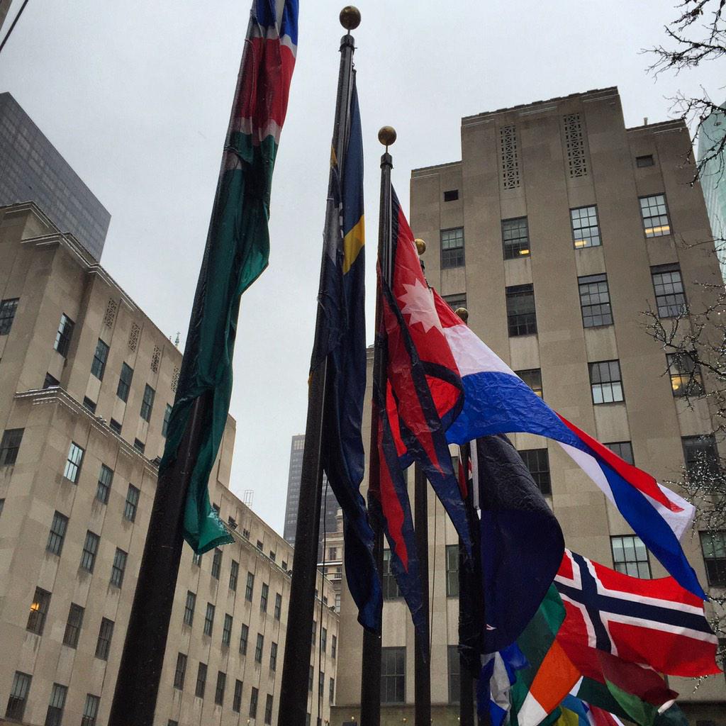 Raphael4NY's tweet photo. Flags frozen to the poles  #NYC #IceStorm http://t.co/t1IS2E15TF