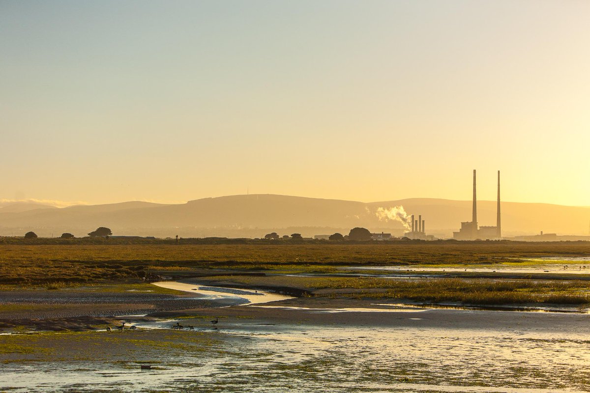 DubCityCouncil's tweet photo. Today is World Wetlands Day! spread the word about the photo competition 
http://t.co/1V4dCGGn0f #biodiversity http://t.co/aoNxjxZjHA