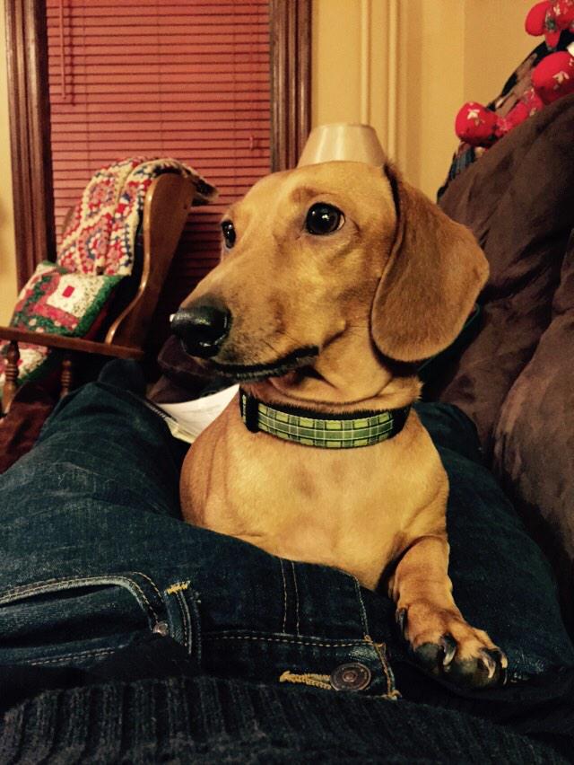 Sam Racette tweet media