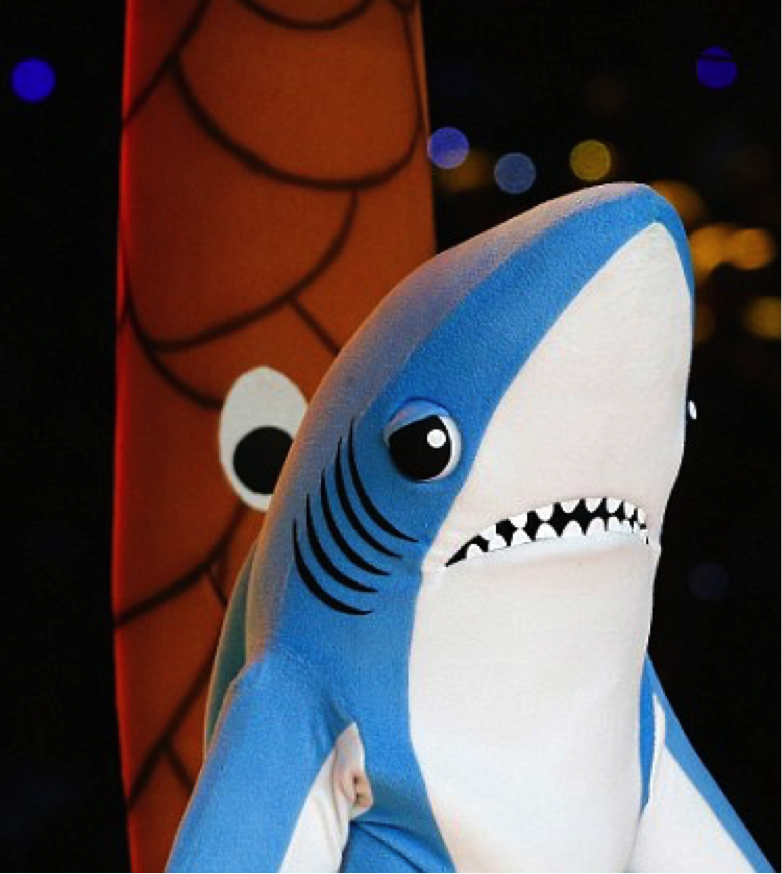 TriangleAutoB's tweet image. #sixmoreweeksofwinter ??? Now I really don't feel like dancing #PunxsutawneyPhil 

@weatherchannel #sharkdancers