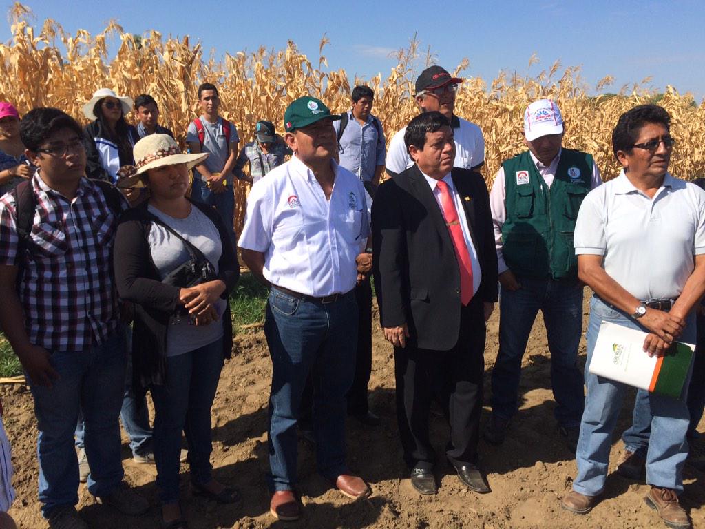 midagriperu's tweet photo. Viceministro Montenegro verifica beneficios de las Escuelas de Campo de @agrorural - Univ. Nac. #Piura #ProQuinua http://t.co/KjQMUpGhjR