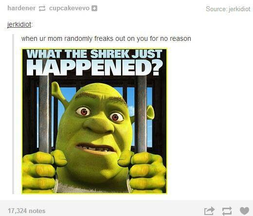 CCPA_paraguay's tweet photo. #CCPATeachers Tell us: What the Shrek just happened? #VIConference @CCPA_paraguay http://t.co/t1dzqRkYKi
