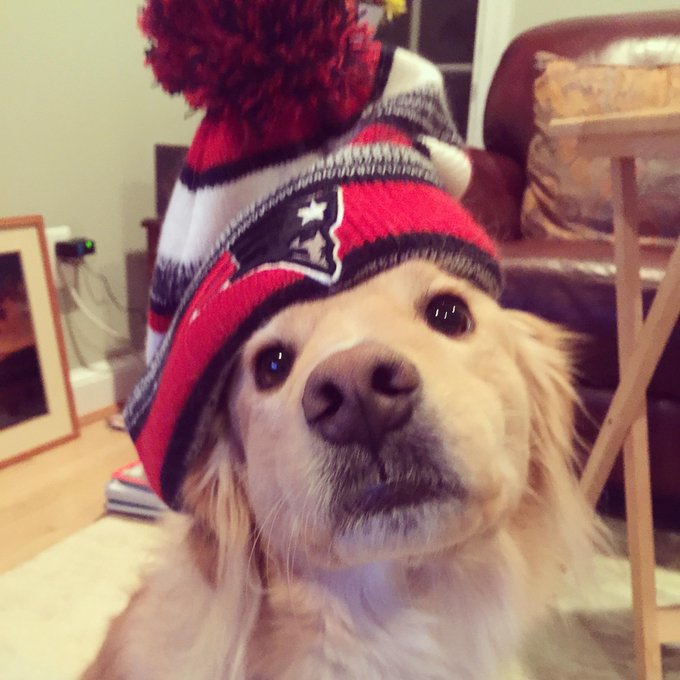 View image on Twitter