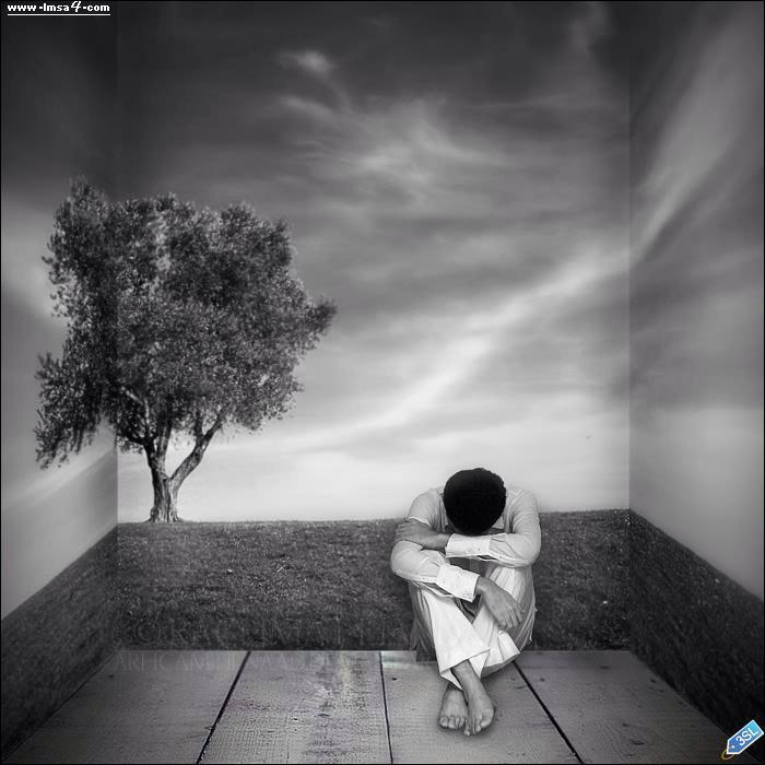 Haydar Alahmady tweet media