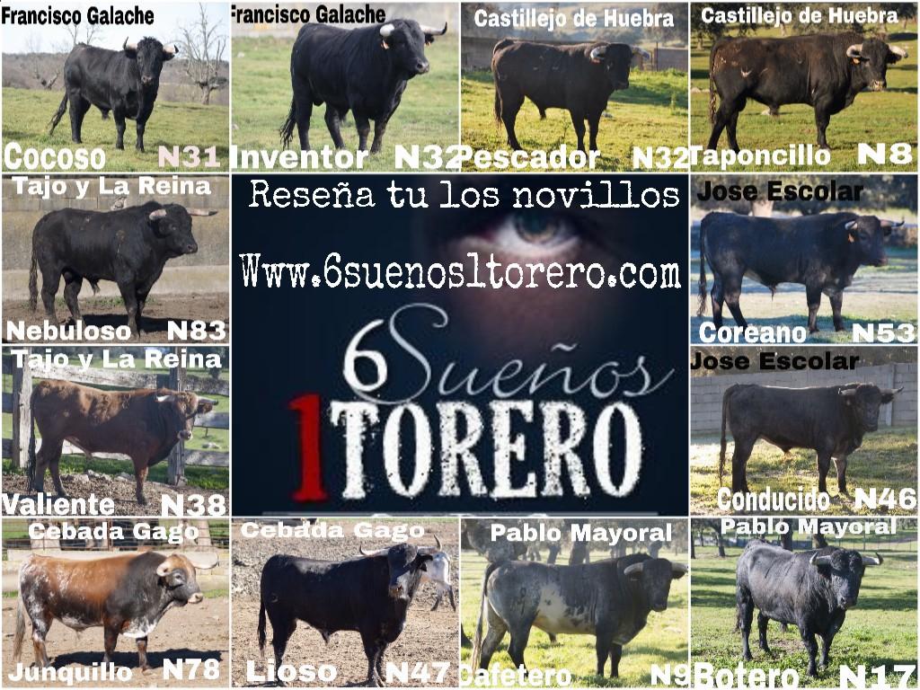RaulRomancos's tweet photo. @toroscanalplus televisar Valdemorillo es un acierto ,y si le sumaras el evento del 28F en Moralzarzal,la host...i..a http://t.co/Wpw1jyGpyW