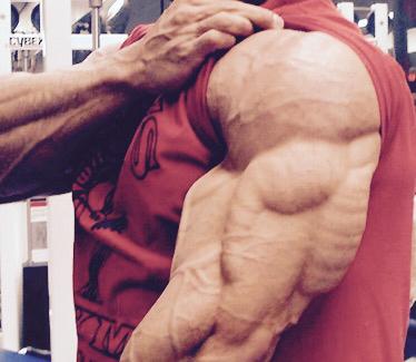 MAXOUTMuscle's tweet image. Top 4 Triceps Exercises to Build Mass and Why!  ➡️ buff.ly/1Cq0ggH