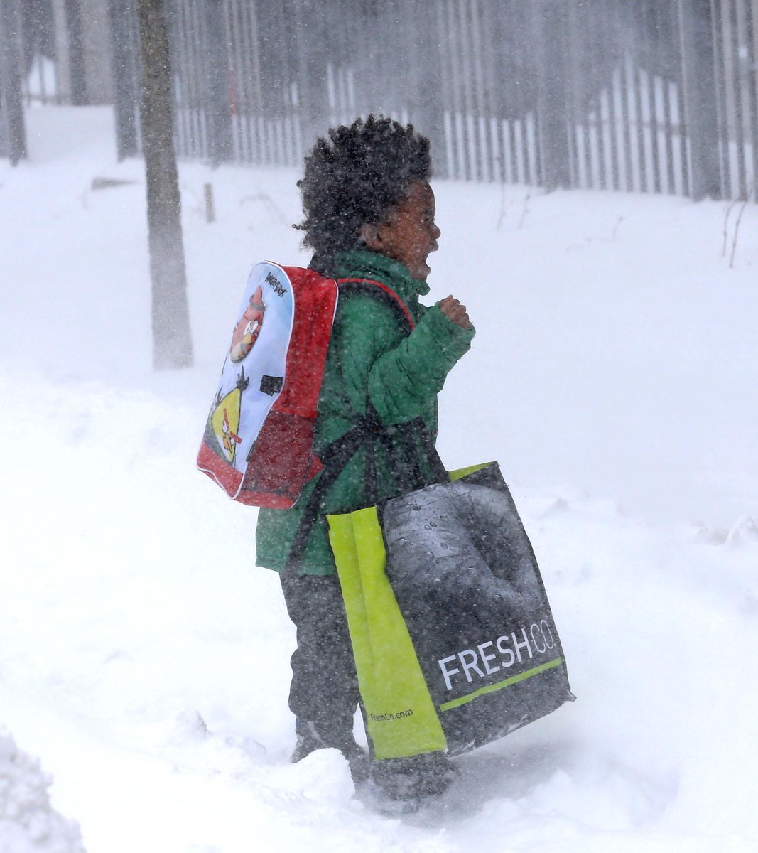 Michael_Peake's tweet image. Little Anthony says it for a lot of people battling the snowy day in Toronto #SnowToSun