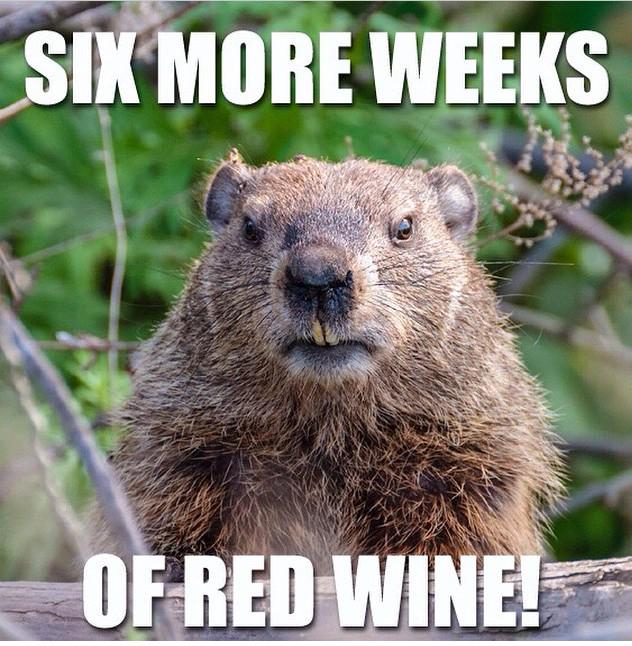 Happy #GroundhogDay