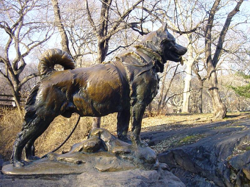 NYCParks's tweet photo. 90 yrs ago today, Balto braved 674 miles in an Alaskan blizzard to stop a deadly epidemic: http://t.co/oWvM9zlEFC http://t.co/Mx9yybtvKj