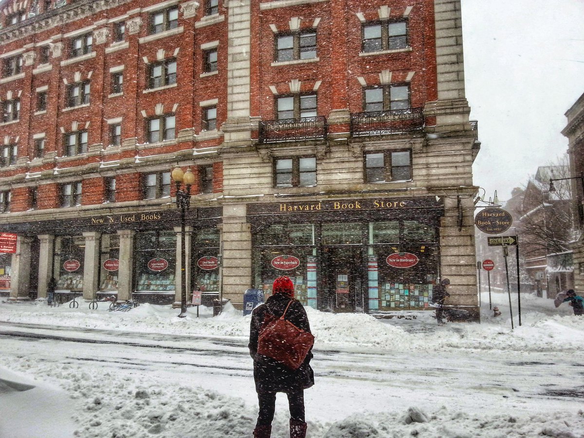 HarvardBooks's tweet photo. The latest snowstorm to pass through @HarvardSquare. #picturecambridge #cambma http://t.co/JfAYGHQ61U