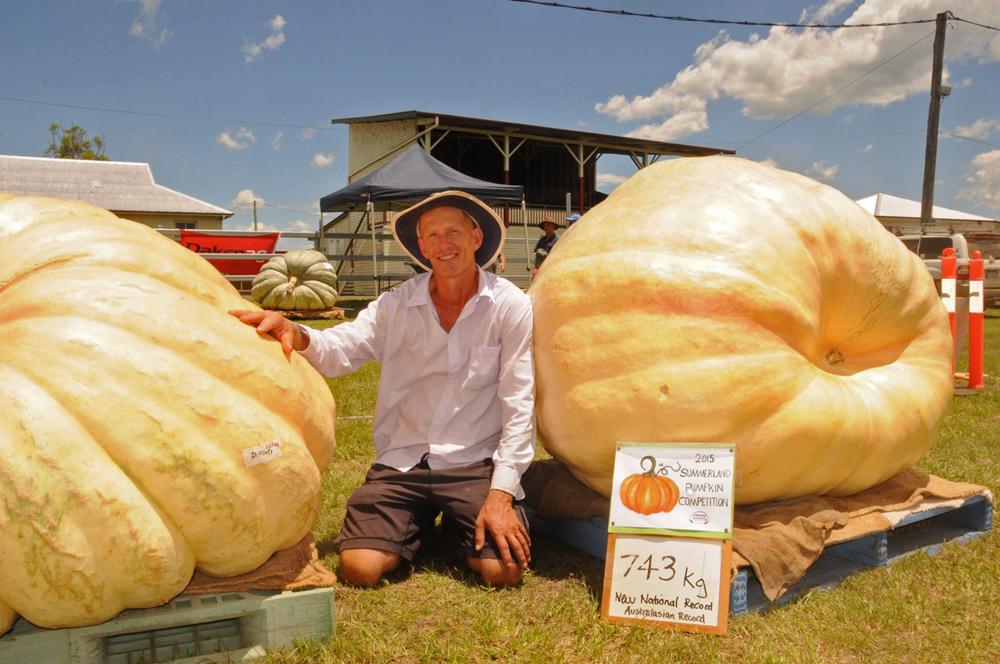 abcnews's tweet photo. ICYMI: A 743kg pumpkin has smashed weight records in Australia and New Zealand http://t.co/YkeTUqsjUD Pic: Ginny Pike http://t.co/Llz1RtBUZa