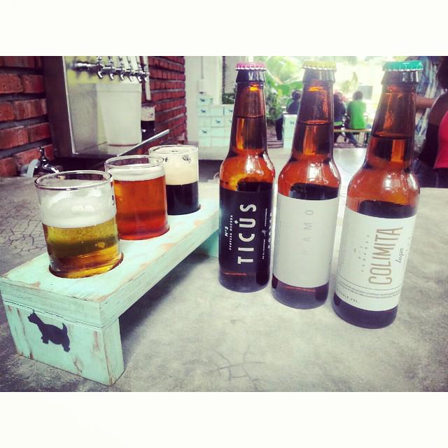 HuertoUTeM's tweet photo. Las chicas y chicos de #Gastronomía  #UTeM realizando la cata de unas ricas cervezas colimenses. http://t.co/s36hXeQOAI