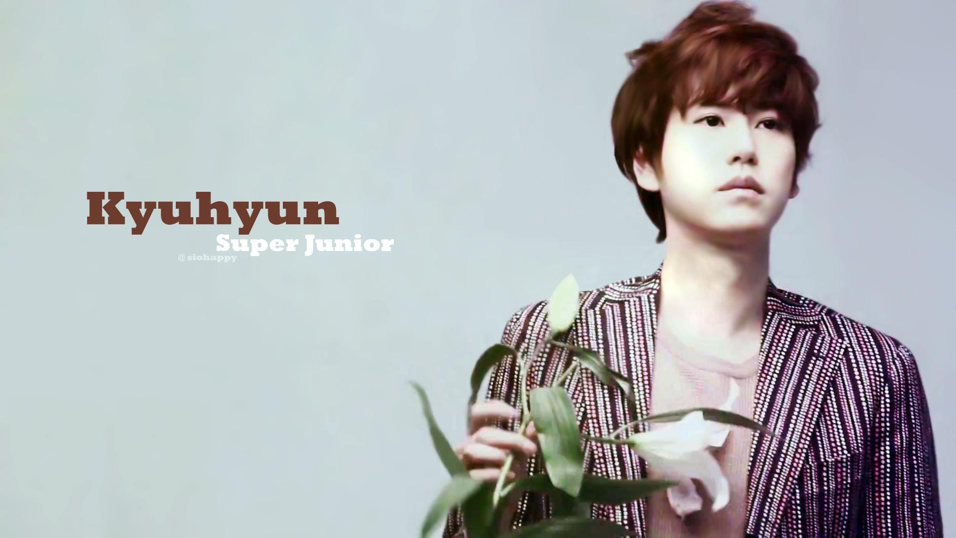 Happy Birthday to cho KYUHYUN   (^ ^)     (   ) 