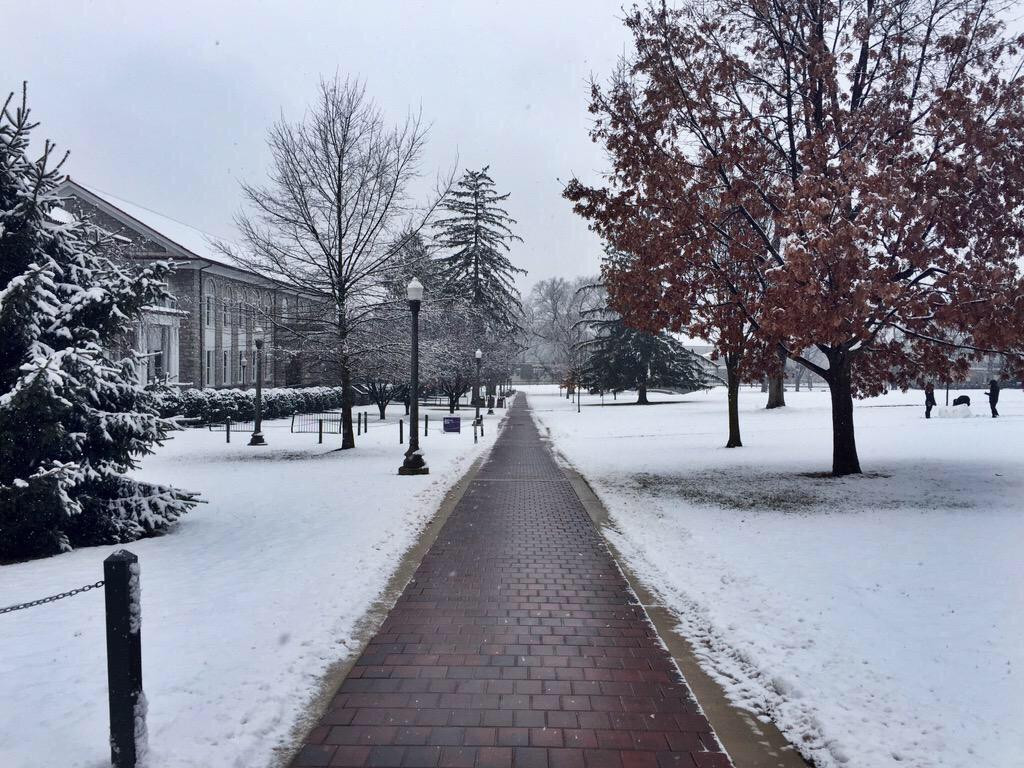 JMUNoChill's tweet photo. #BringTheSnowBack #JMU http://t.co/Dbz4BOwXFv