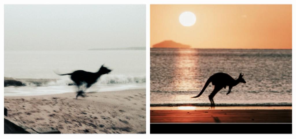 #Bournemouth #australia <a href="/BournemouthFun/">Bournemouth Town</a> <a href="/Bournemouthecho/">Bournemouth Echo</a> @Bournemouthinfo