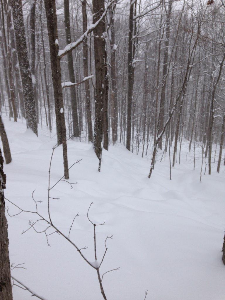 SnowPineVillage's tweet photo. Who doesn't love skiing some glades? Book your stay now so you can enjoy these conditions! http://t.co/7zxQUikjBj
