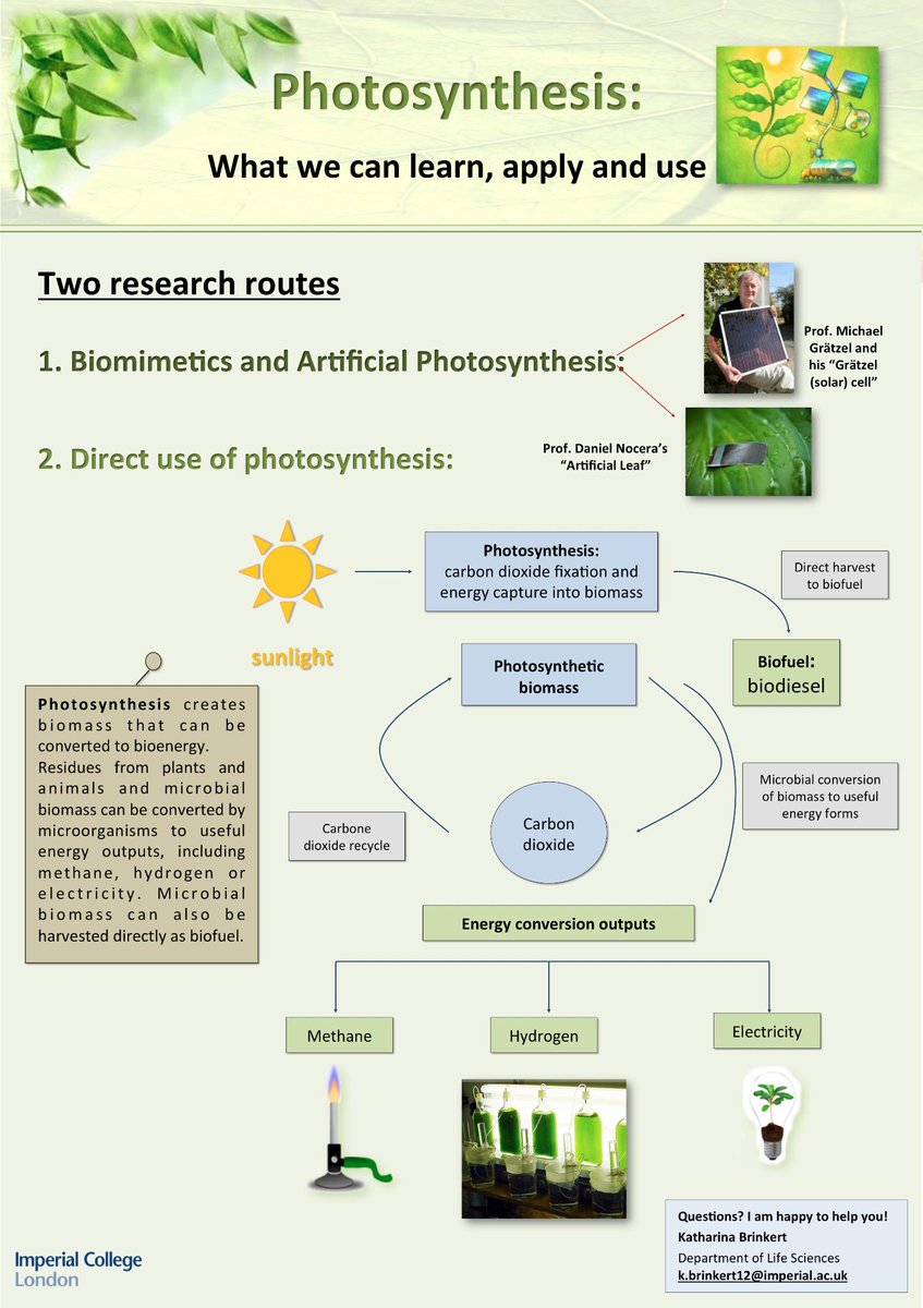 Some real science: what is photosynthesis and how can we take advantage of it? Posters by Katharina Brinkert.