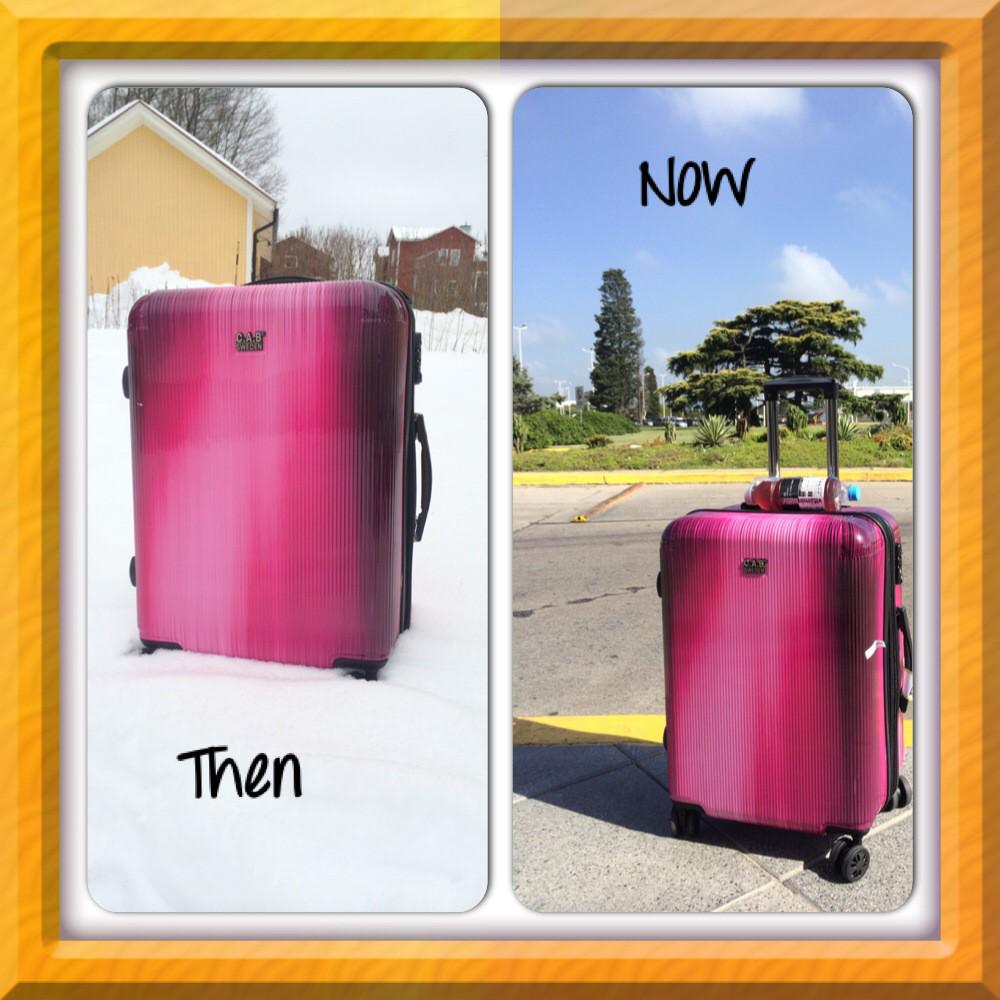 #islaverdebronces #brassfestival #FrenchHorn