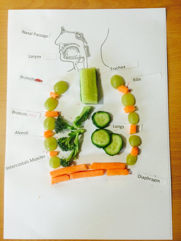 MrGoldmanPE's tweet image. Great example of pupils PE-Respiratory System work from today at @scaExeter Well done! @PE4Learning #PracticalTheory