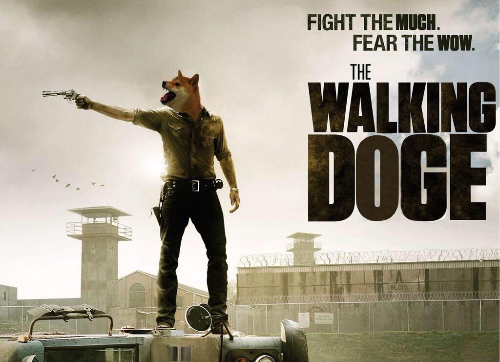 AFeds_06's tweet photo. Only one more week until the return #muchdead #verysurvival http://t.co/JI240Lkl3M