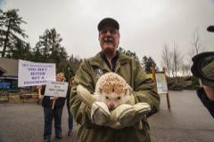 taooftong's tweet image. Portland Zoo’s “Whiskers J.” hedgehog predicts an early spring! #pdx #portlandtribune #zoo