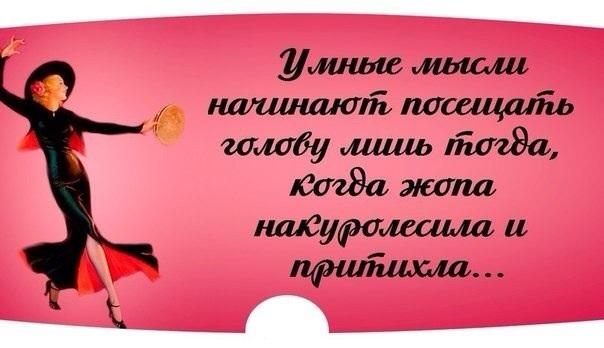 посещают мысли. с нами стыдно зато весело. накуролесил картинки. умные высказывания. посещают мысли.