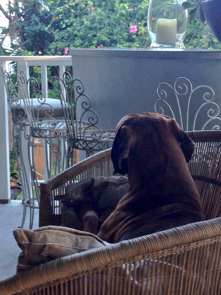 Zeus_DOD's tweet photo. Contemplating... http://t.co/sNh3za63RZ