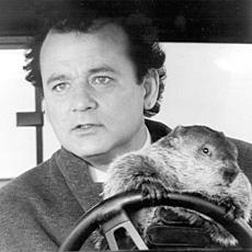 UFile's tweet image. Happy Groundhog day! 6 more weeks of winter, brrrrr #GroundhogDay #FileSmart