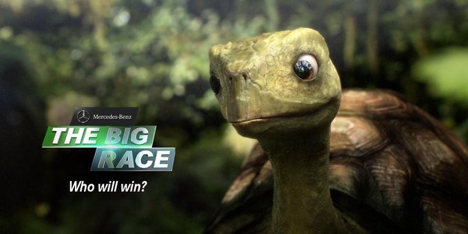 Miss #TheBigRace on your big screen? Relive all the action here: http://t.co/E9sR7f32vt. @TheHare #SBXLIX<a href="/tag/thebigrace"class="tags">#TheBigRace</a><a href="/tag/ad"class="tags"><span>#ad</span></a><a href="/tag/sbxlix"class="tags"><span>#sbxlix</span></a>