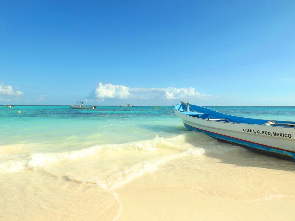 Enzo Tarascio (enzo_tarascio) Twitter