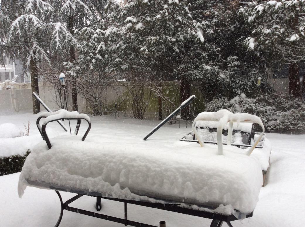 NYCNamed's tweet photo. @GPaolello @PrimaDonna001 @whaletwo Looks like we got more snow here and its still coming down! #icehell http://t.co/lMkhHVT6S7