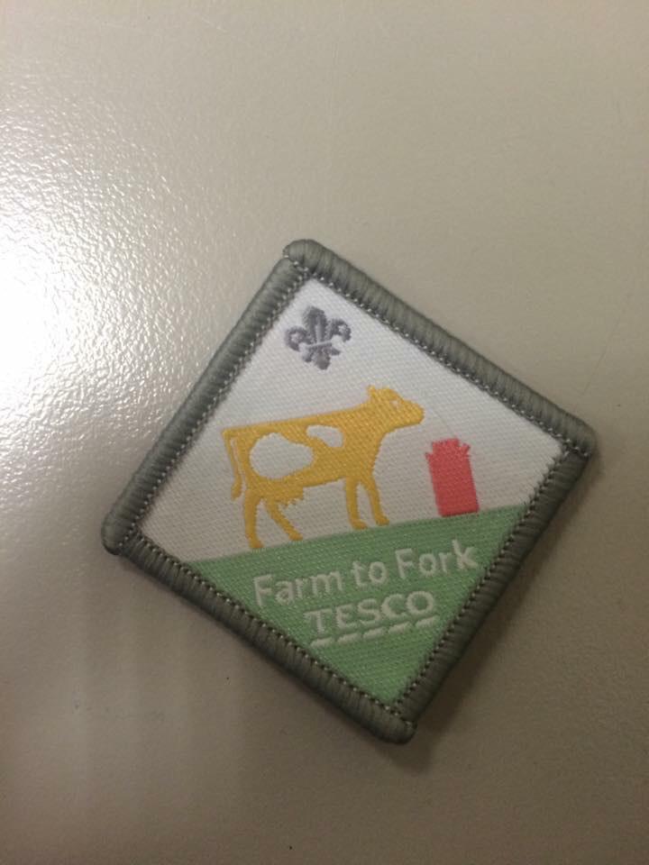 Alison webb tweet media