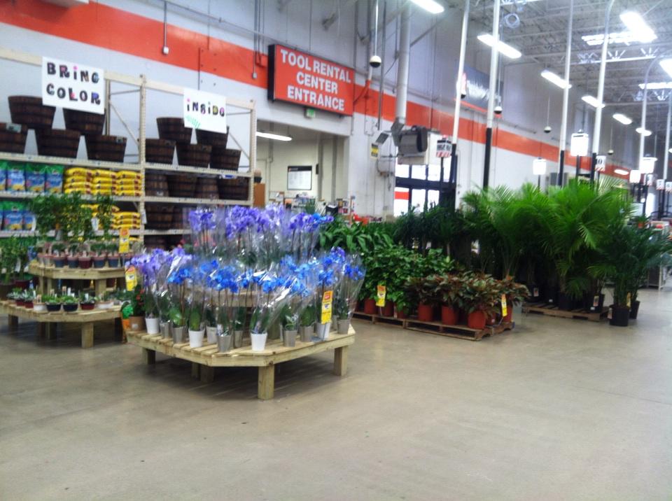 Bellevue 0722 Tropical event ready to roll <a href="/LisaAdamsTHD/">Lisa</a> <a href="/jaybisping/">Jay</a>