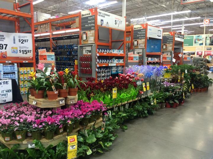 Franklin 0734 ready to roll! <a href="/LisaAdamsTHD/">Lisa</a> <a href="/jaybisping/">Jay</a>