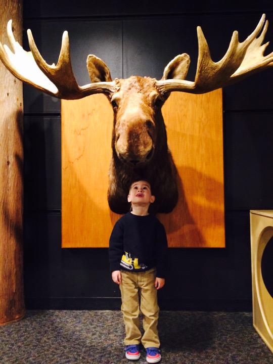 meghan maloney-vinz tweet media