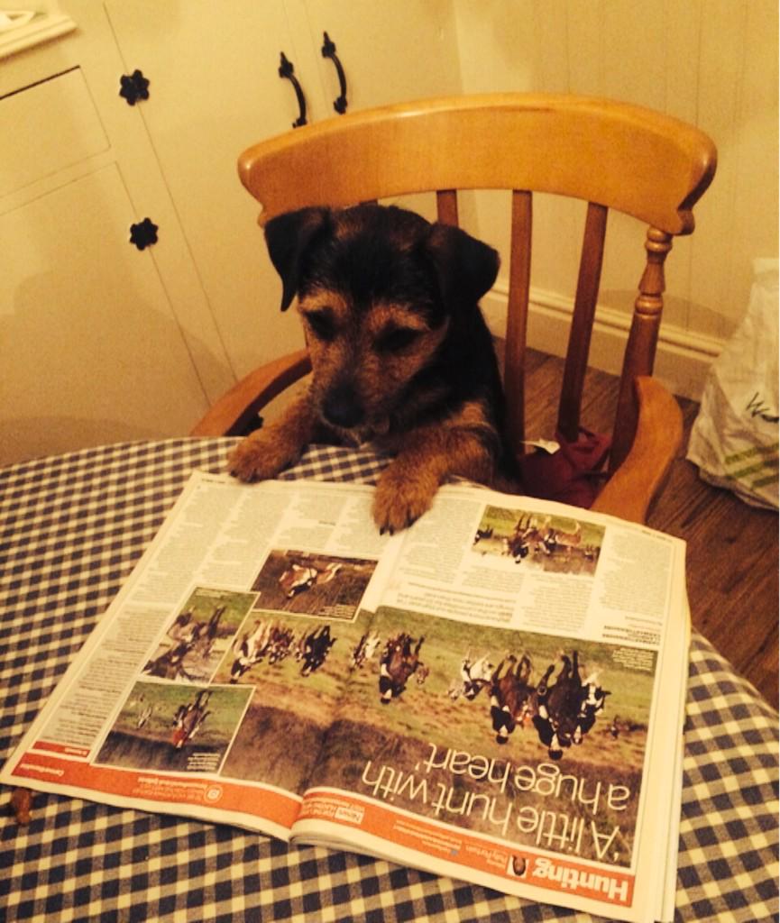 Mornings read of H&amp;H before a hard days work of ball catching,yard management and stick collecting.<a href="/horseandhound/">Horse & Hound</a>