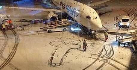 Пенис Рейнэйр