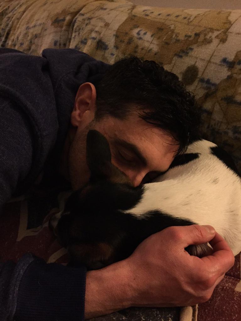 Giuliopalombi's tweet image. Grande divertimento aspettando la #Spack #isola @devil1179