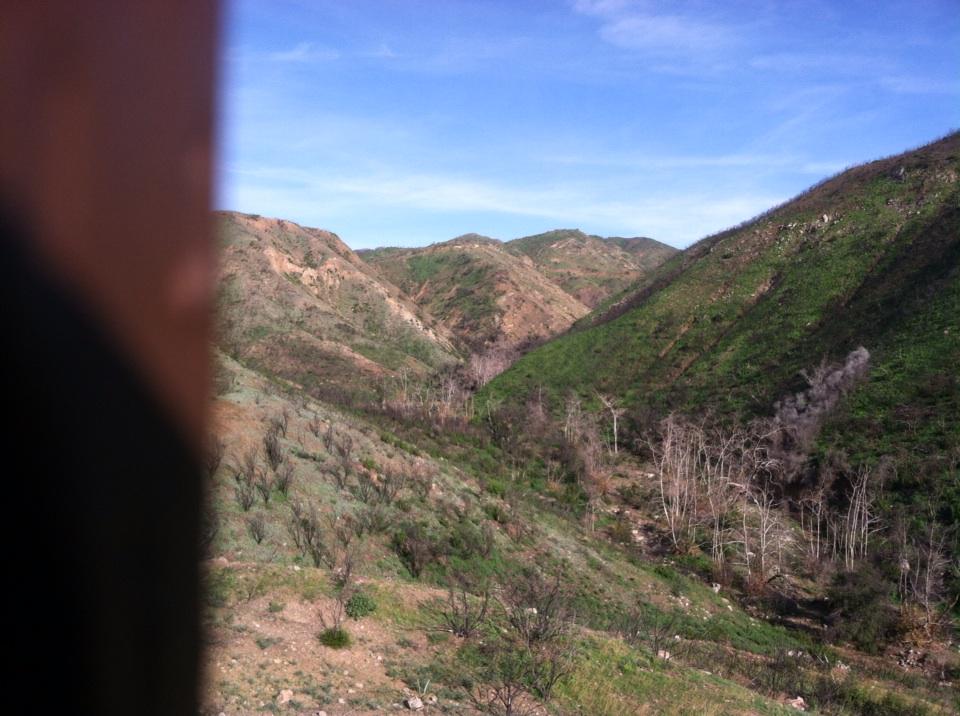 bunnyfoot1's tweet photo. #springsfire09 http://t.co/nzDOh0b2N1