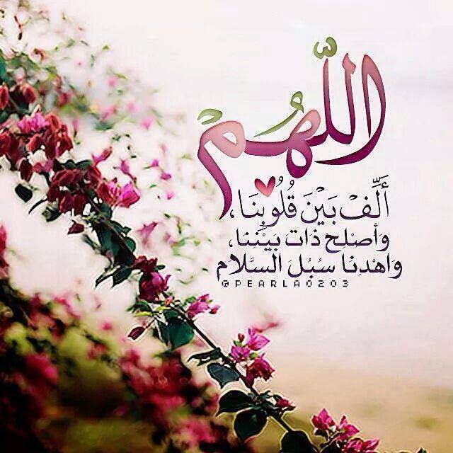 samiali89 tweet picture