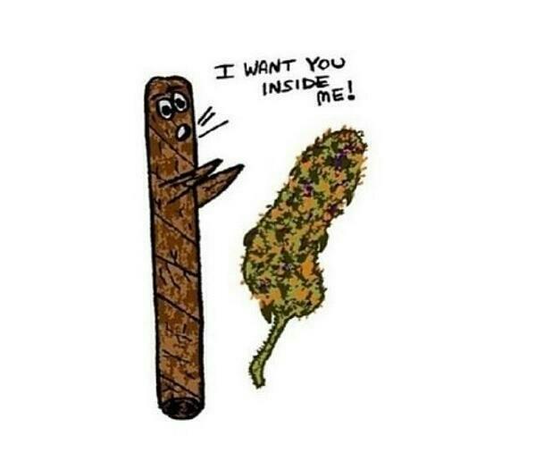 Skunkmagazine's tweet photo. If blunts could talk. http://t.co/qze8seReTC