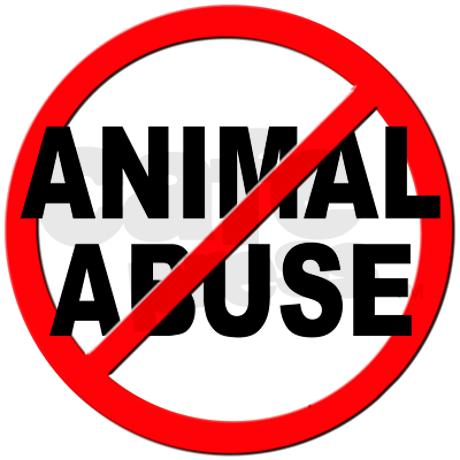 AmyRoseKathryn's tweet photo. Legislation aimed at strengthening New Jersey’s animal cruelty laws is headed for State Senate http://t.co/atB2yuxFt7 http://t.co/gxrwCNCNKs