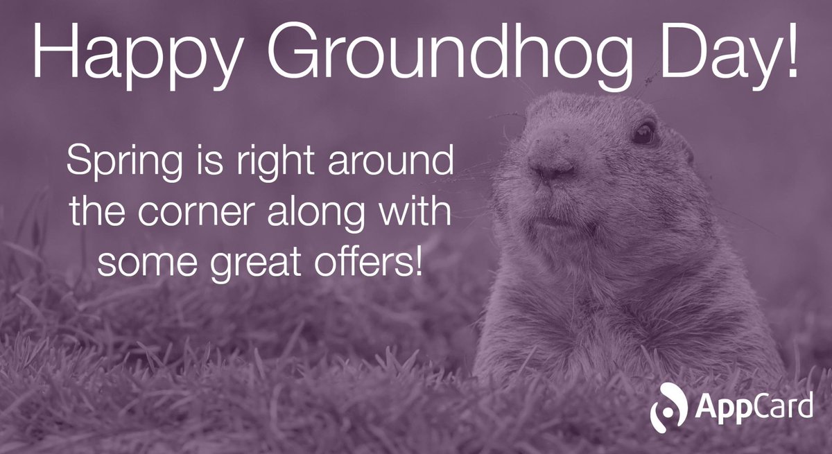 AppCardInc's tweet photo. Happy Groundhog Day! Get ready for 6 more weeks of winter! #Groundhogday #AppCard http://t.co/MEwfXj7rBP