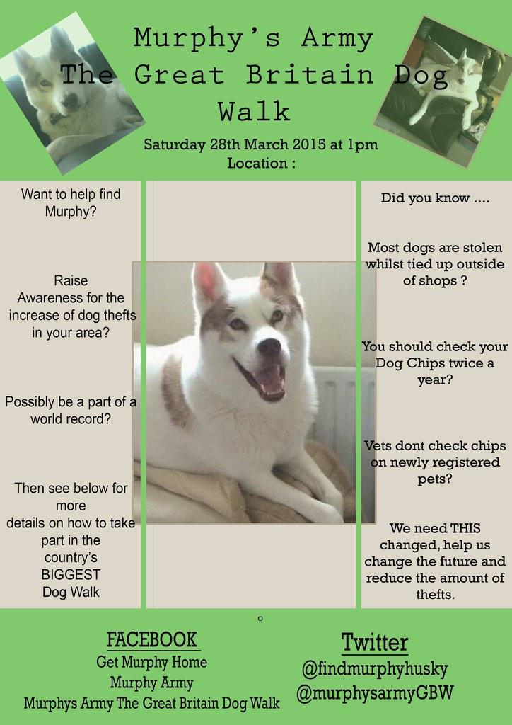 MurphysArmySom's tweet image. The newest poster for #MurphysArmyGBW !! #murphysarmy