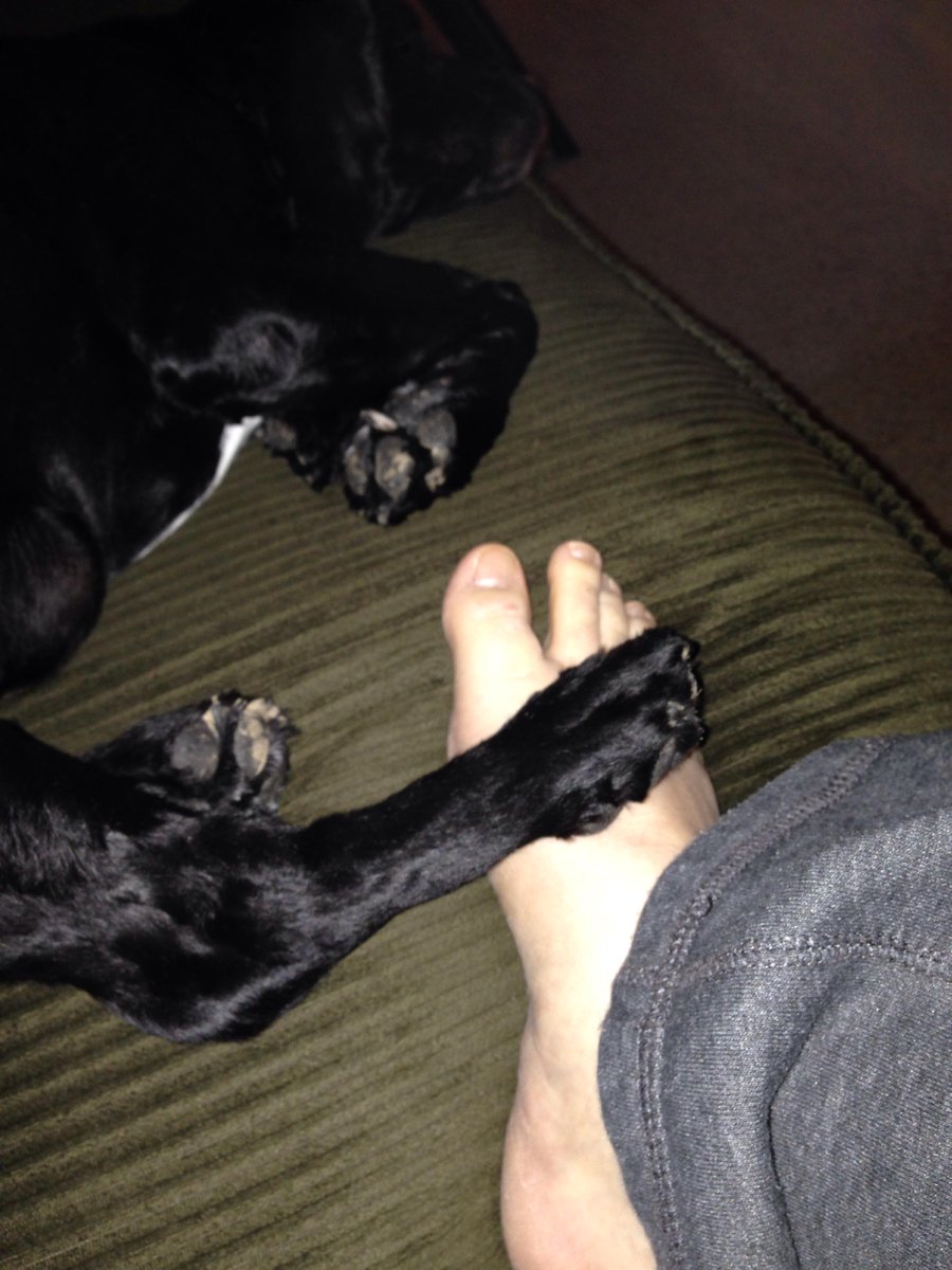 Lamassu's tweet photo. @MeDangerbolt No shoes. Took a footfie, instead. Bonus dog footfie. http://t.co/2zwAZFGPDQ