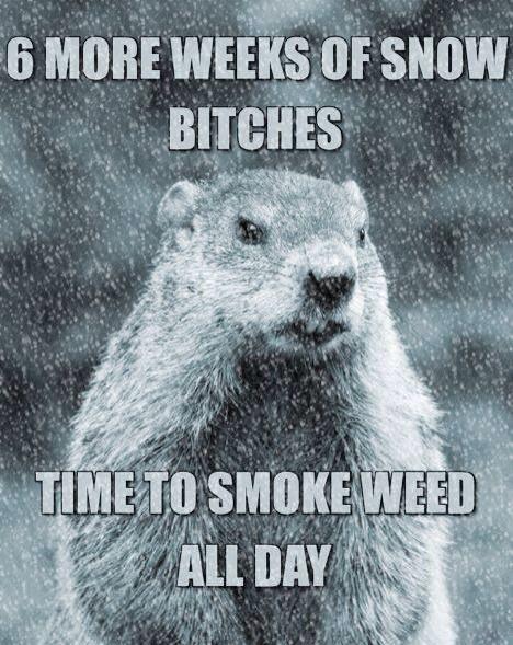 Young Junkyy (@yungking319) on Twitter photo 