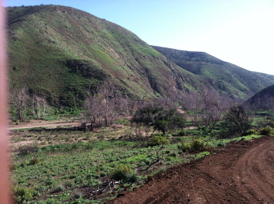 bunnyfoot1's tweet photo. #springsfire10 http://t.co/rChaPMQ1Zu