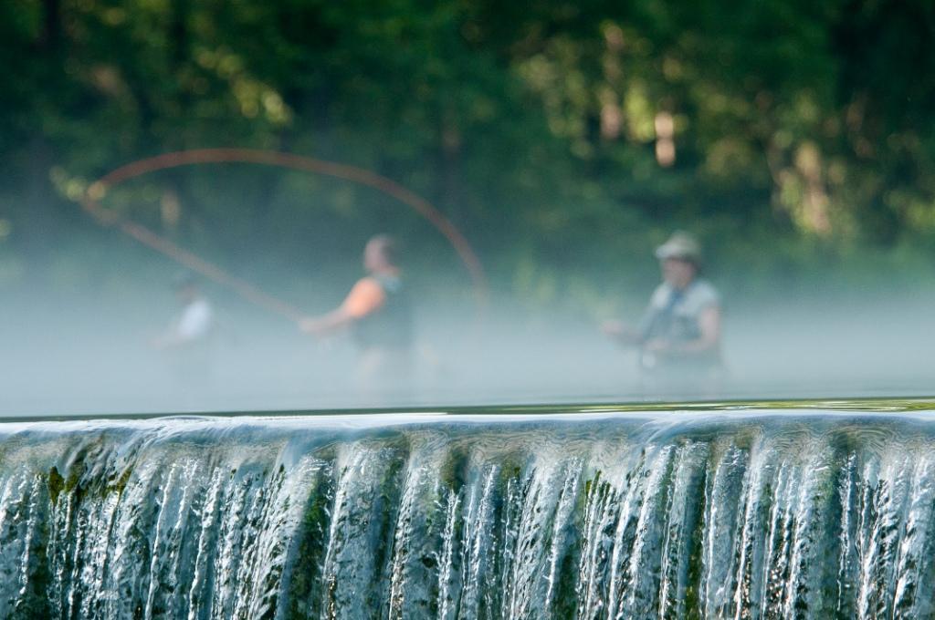 Visit Missouri tweet media